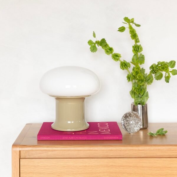 Rospo Table Lamp - Image 6