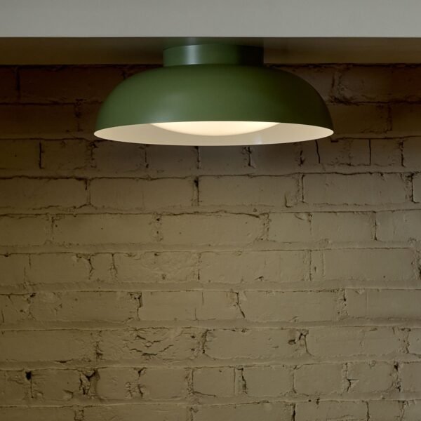 Ray 17" Surface Mount - Image 4