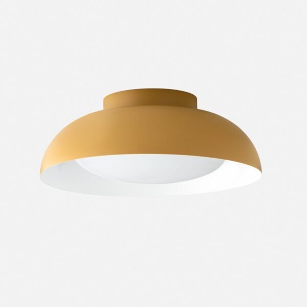 Ray 17" Surface Mount - Image 16