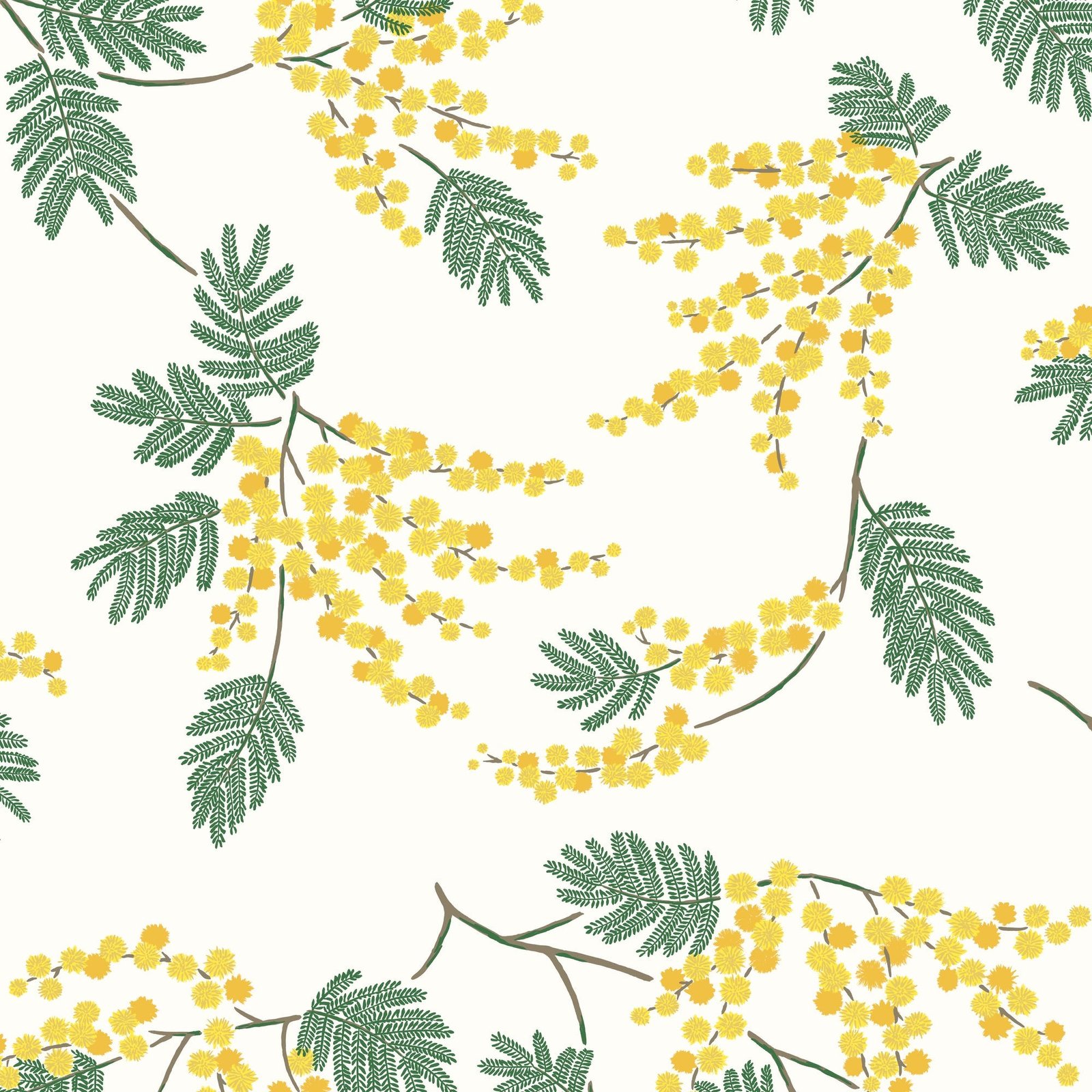Acacia Flower Wallpaper - Image 8