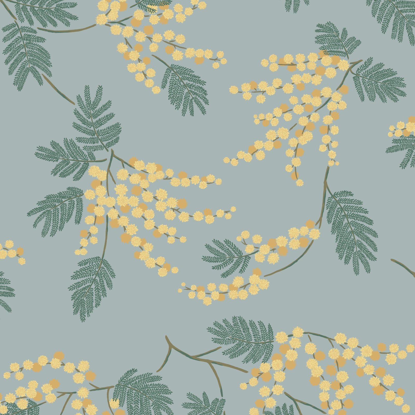 Acacia Flower Wallpaper - Image 2